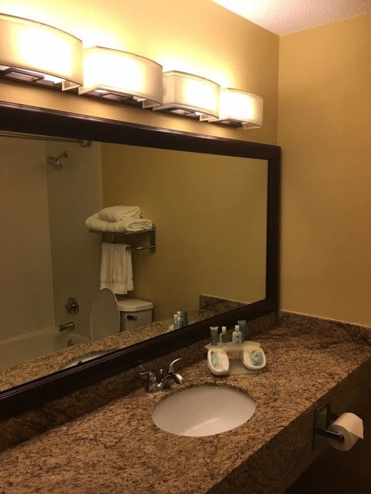 Hotel Wyndham Garden Summerville